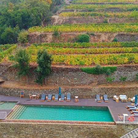 Quinta De Travassinhos- Douro Valley & Spa Са́нта-Ма́рта-де-Пенагіа́н Екстер'єр фото