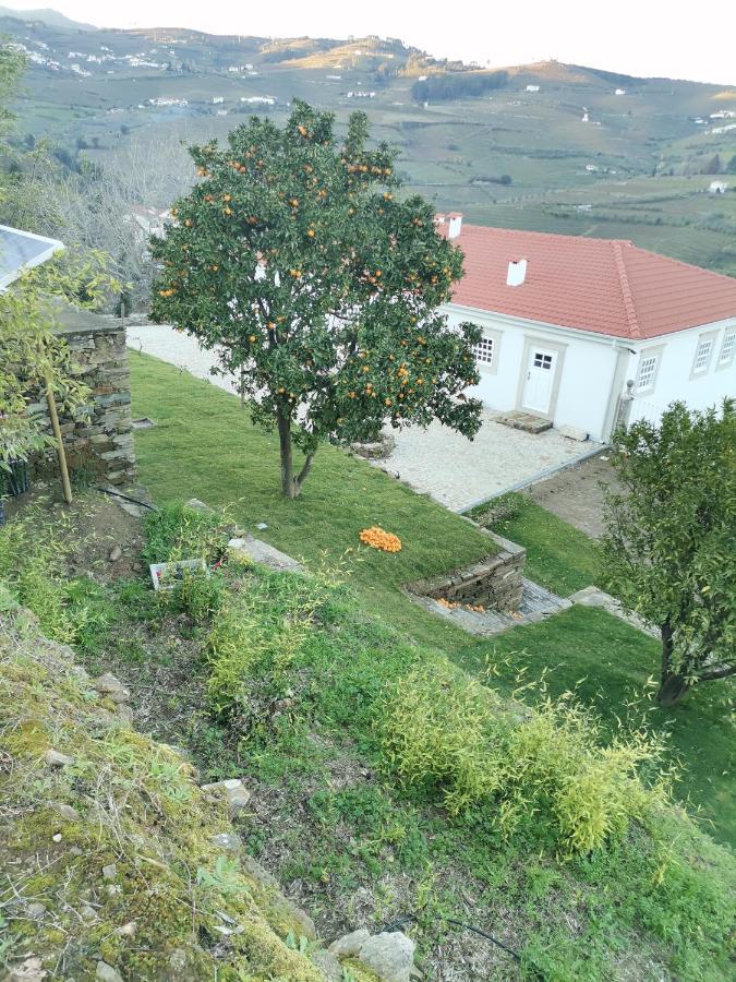 Quinta De Travassinhos- Douro Valley & Spa Са́нта-Ма́рта-де-Пенагіа́н Екстер'єр фото