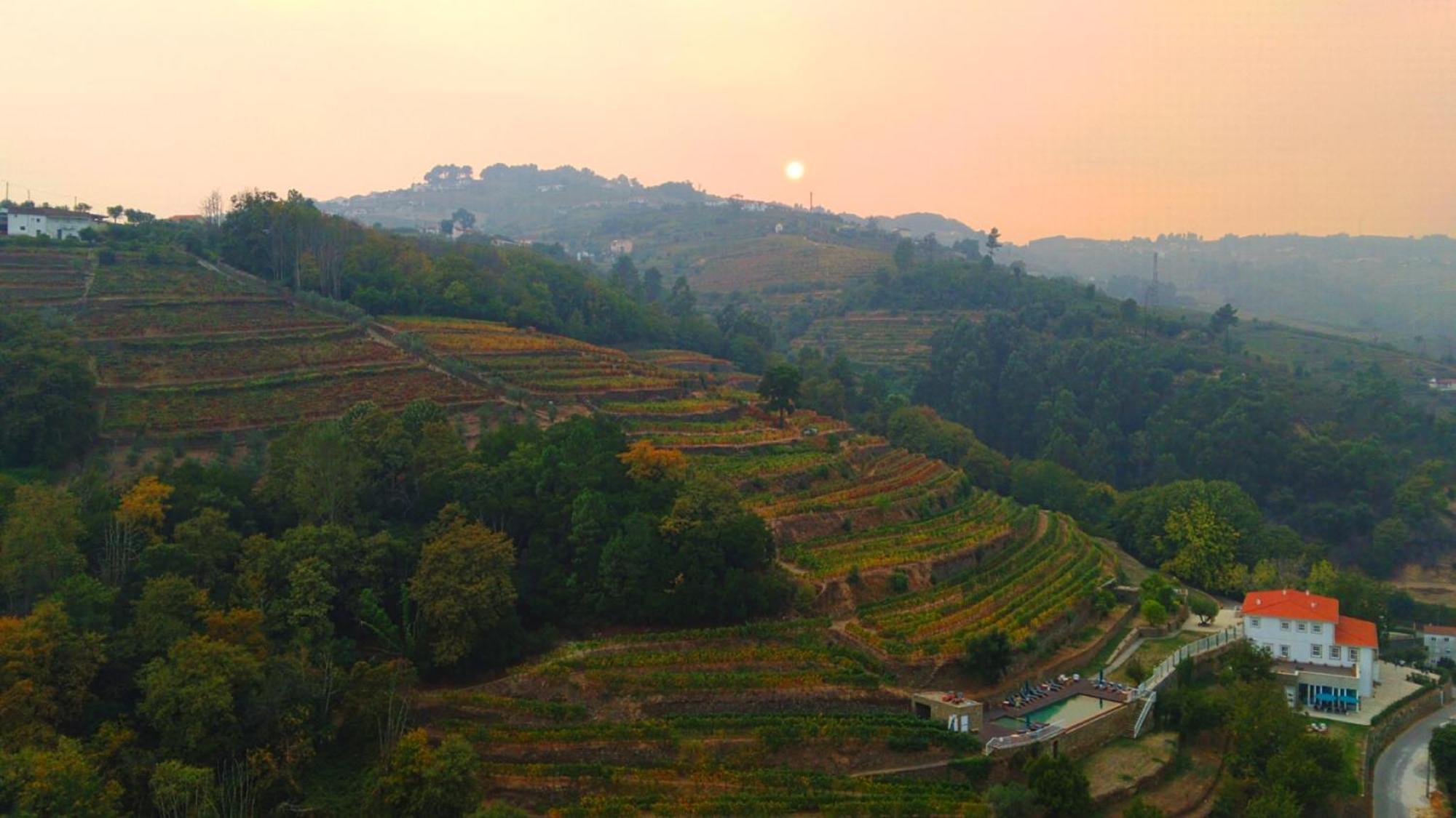 Quinta De Travassinhos- Douro Valley & Spa Са́нта-Ма́рта-де-Пенагіа́н Екстер'єр фото