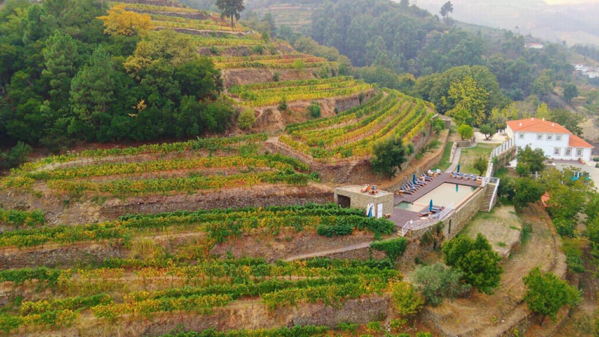 Quinta De Travassinhos- Douro Valley & Spa Са́нта-Ма́рта-де-Пенагіа́н Екстер'єр фото